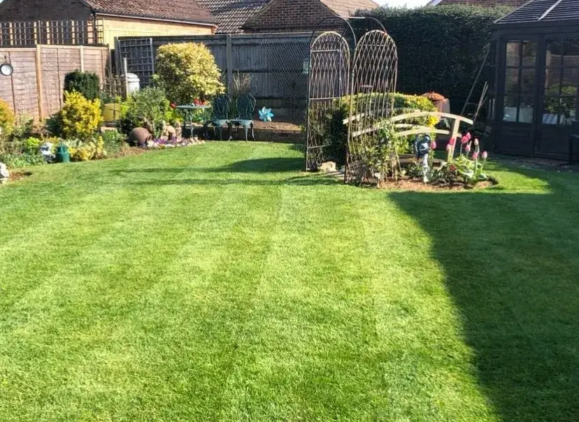 a lawn with a birdcage in the middle of it